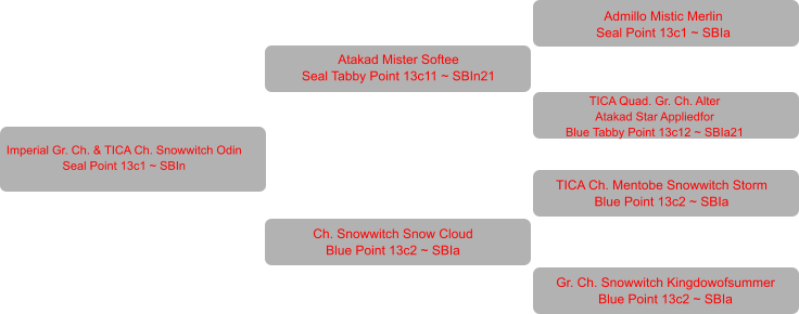 Imperial Gr. Ch. & TICA Ch. Snowwitch Odin Seal Point 13c1 ~ SBIn Atakad Mister Softee Seal Tabby Point 13c11 ~ SBIn21 Ch. Snowwitch Snow Cloud Blue Point 13c2 ~ SBIa Admillo Mistic Merlin Seal Point 13c1 ~ SBIa TICA Quad. Gr. Ch. Alter Atakad Star Appliedfor Blue Tabby Point 13c12 ~ SBIa21 TICA Ch. Mentobe Snowwitch Storm Blue Point 13c2 ~ SBIa Gr. Ch. Snowwitch Kingdowofsummer Blue Point 13c2 ~ SBIa