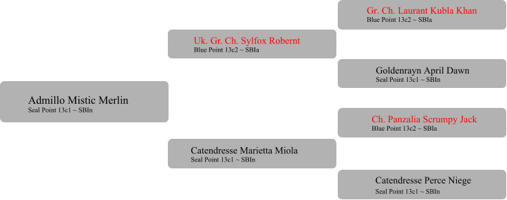 Uk. Gr. Ch. Sylfox Robernt Blue Point 13c2 ~ SBIa  Catendresse Marietta Miola Seal Point 13c1 ~ SBIn Gr. Ch. Laurant Kubla Khan Blue Point 13c2 ~ SBIa Goldenrayn April Dawn Seal Point 13c1 ~ SBIn Ch. Panzalia Scrumpy Jack Blue Point 13c2 ~ SBIa 	 Catendresse Perce Niege Seal Point 13c1 ~ SBIn	 Admillo Mistic Merlin Seal Point 13c1 ~ SBIn