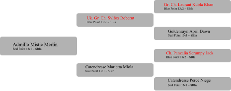 Uk. Gr. Ch. Sylfox Robernt Blue Point 13c2 ~ SBIa  Catendresse Marietta Miola Seal Point 13c1 ~ SBIn Gr. Ch. Laurant Kubla Khan Blue Point 13c2 ~ SBIa Goldenrayn April Dawn Seal Point 13c1 ~ SBIn Ch. Panzalia Scrumpy Jack Blue Point 13c2 ~ SBIa 	 Catendresse Perce Niege Seal Point 13c1 ~ SBIn	 Admillo Mistic Merlin Seal Point 13c1 ~ SBIn