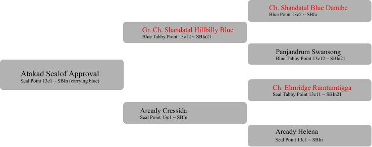 Gr. Ch. Shandatal Hillbilly Blue Blue Tabby Point 13c12 ~ SBIa21  Arcady Cressida  Seal Point 13c1 ~ SBIn Ch. Shandatal Blue Danube Blue Point 13c2 ~ SBIa Panjandrum Swansong Blue Tabby Point 13c12 ~ SBIa21 Ch. Elmridge Rumtumtigga Seal Tabby Point 13c11 ~ SBIn21 	 Arcady Helena Seal Point 13c1 ~ SBIn	 Atakad Sealof Approval Seal Point 13c1 ~ SBIn (carrying blue)