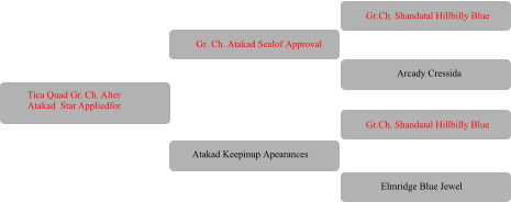 Gr. Ch. Atakad Sealof Approval Gr.Ch. Shandatal Hillbilly Blue Arcady Cressida Gr.Ch. Shandatal Hillbilly Blue Elmridge Blue Jewel Atakad Keepinup Apearances Tica Quad Gr. Ch. Alter  Atakad  Star Appliedfor