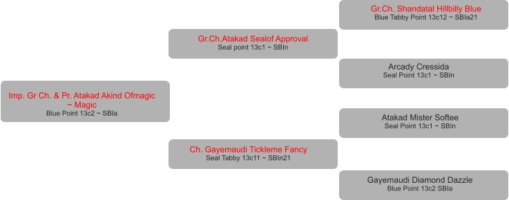 Imp. Gr Ch. & Pr. Atakad Akind Ofmagic  ~ Magic Blue Point 13c2 ~ SBIa Gr.Ch.Atakad Sealof Approval  Seal point 13c1 ~ SBIn Ch. Gayemaudi Tickleme Fancy Seal Tabby 13c11 ~ SBIn21 Gr.Ch. Shandatal Hillbilly Blue  Blue Tabby Point 13c12 ~ SBIa21 Arcady Cressida  Seal Point 13c1 ~ SBIn Atakad Mister Softee Seal Point 13c1 ~ SBIn Gayemaudi Diamond Dazzle Blue Point 13c2 SBIa