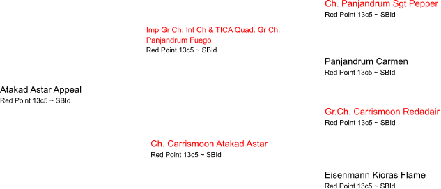 Atakad Astar Appeal Red Point 13c5 ~ SBId Imp Gr Ch, Int Ch & TICA Quad. Gr Ch.  Panjandrum Fuego Red Point 13c5 ~ SBId Ch. Carrismoon Atakad Astar Red Point 13c5 ~ SBId Ch. Panjandrum Sgt Pepper  Red Point 13c5 ~ SBId Panjandrum Carmen  Red Point 13c5 ~ SBId Gr.Ch. Carrismoon Redadair Red Point 13c5 ~ SBId Eisenmann Kioras Flame Red Point 13c5 ~ SBId