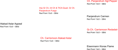 Atakad Astar Appeal Red Point 13c5 ~ SBId Imp Gr Ch, Int Ch & TICA Quad. Gr Ch.  Panjandrum Fuego Red Point 13c5 ~ SBId Ch. Carrismoon Atakad Astar Red Point 13c5 ~ SBId Ch. Panjandrum Sgt Pepper  Red Point 13c5 ~ SBId Panjandrum Carmen  Red Point 13c5 ~ SBId Gr.Ch. Carrismoon Redadair Red Point 13c5 ~ SBId Eisenmann Kioras Flame Red Point 13c5 ~ SBId