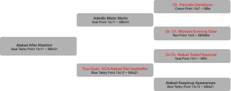 Atakad After Afashion Seal Tabby Point 13c11 ~ SBIn21 Admillo Mistic Merlin Seal Point 13c11 ~ SBIn21 Tica Quad. GCA Atakad Star Appliedfor  Blue Tabby Point 13c12 ~ SBIa21  Ch. Panzalia Dandelyon Cream Point 13c7 ~ SBIe Gr. Ch. Mlyward Evening Glow Red Point 13c5 ~ SBISBId Gr.Ch. Atakad Sealof Approval Seal Point 13c1 ~ SBIn Atakad Keepinup Apearances Blue Tabby Point 13c12 ~ SBIa21