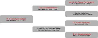 Ch. Sucette Agent Instripes Seal Tabby Point 13c11 ~ SBIn21 Sucette Sanfairyann Lilac Tabby Point 13c14 ~ SBIc21 Imp. Gr. Ch. Felonie The Full Monty Seal TabbyPoint 13c11 ~ SBIn21 Ch. Sucette Vino Rosso Red Point 13c5 ~ SBId    Gr. Ch. Sucette Viennetta Chocolate Point 13c3 ~ SBIb Gr. Ch. Sucette Ultrasonic Blue Tabby Point 13c12 ~ SBIa21 Sucette Yur  a Chocolate Orange ChocolateTabby Point 13c9 ~ SBIh