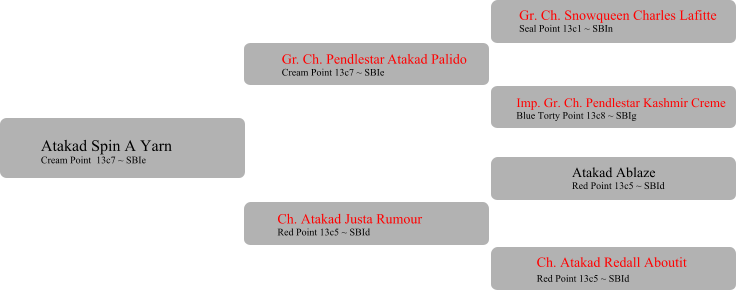 Gr. Ch. Pendlestar Atakad Palido Cream Point 13c7 ~ SBIe  Ch. Atakad Justa Rumour Red Point 13c5 ~ SBId Gr. Ch. Snowqueen Charles Lafitte Seal Point 13c1 ~ SBIn Imp. Gr. Ch. Pendlestar Kashmir Creme Blue Torty Point 13c8 ~ SBIg Atakad Ablaze Red Point 13c5 ~ SBId 	 Ch. Atakad Redall Aboutit Red Point 13c5 ~ SBId	 Atakad Spin A Yarn  Cream Point  13c7 ~ SBIe