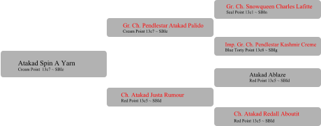 Gr. Ch. Pendlestar Atakad Palido Cream Point 13c7 ~ SBIe  Ch. Atakad Justa Rumour Red Point 13c5 ~ SBId Gr. Ch. Snowqueen Charles Lafitte Seal Point 13c1 ~ SBIn Imp. Gr. Ch. Pendlestar Kashmir Creme Blue Torty Point 13c8 ~ SBIg Atakad Ablaze Red Point 13c5 ~ SBId 	 Ch. Atakad Redall Aboutit Red Point 13c5 ~ SBId	 Atakad Spin A Yarn  Cream Point  13c7 ~ SBIe