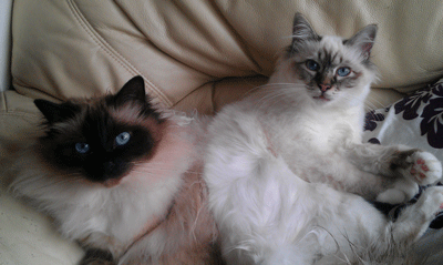 Gracy & lilly